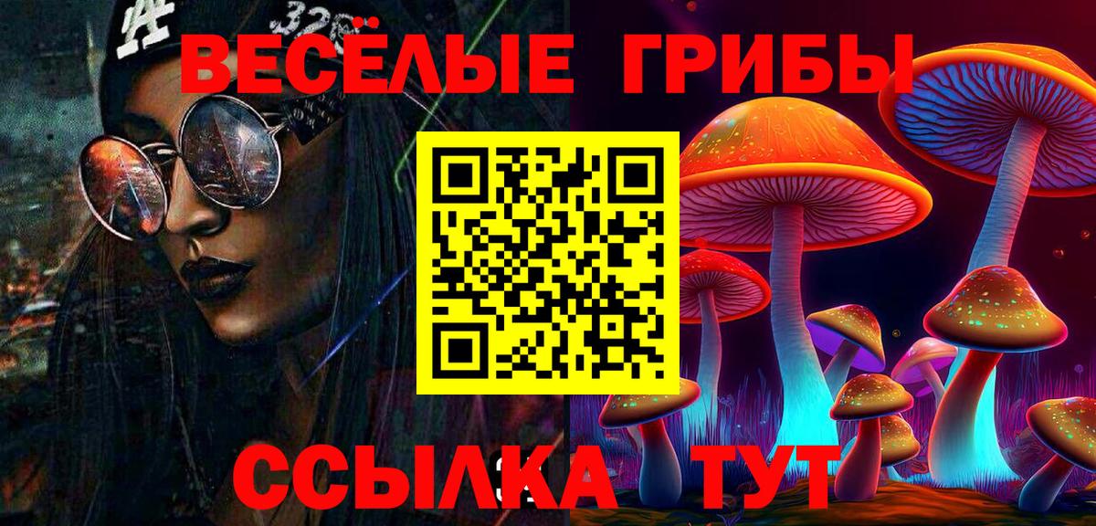 Карталы  что такое наркотик  Вход с VPN  Галлюциногенные грибы Psilocybe  Псилоцибиновые грибы MAGIC MUSHROOMS 